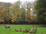 Rogmanspark